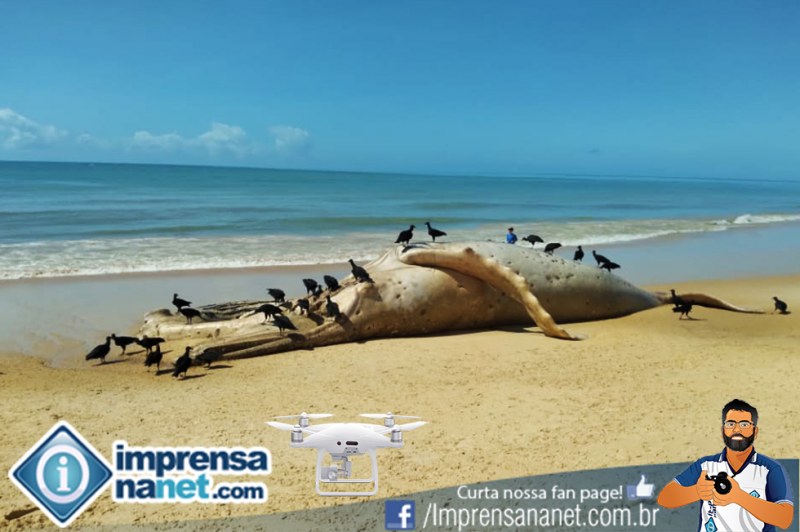 Foto: Sec. Municipal de Serviços Públicos